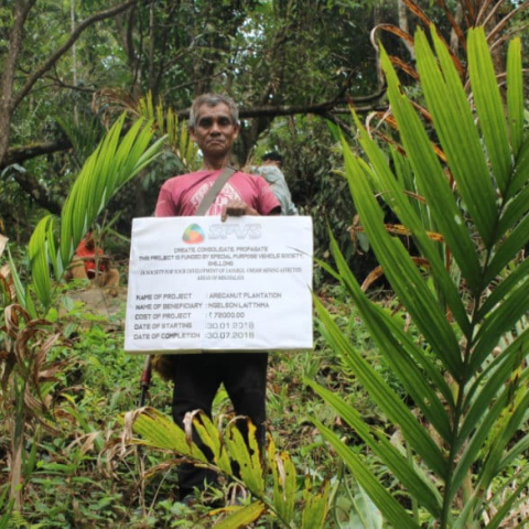 Areca Nut Plantation Beneficiary