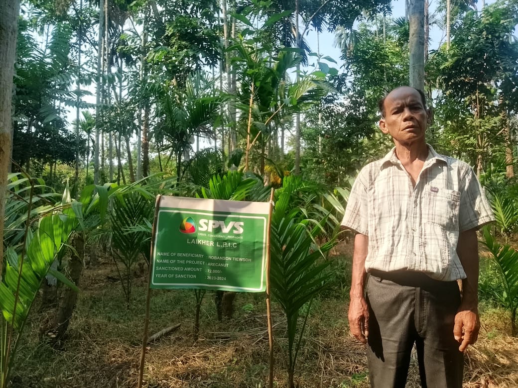 Arecanut Plantation Area, Laikher