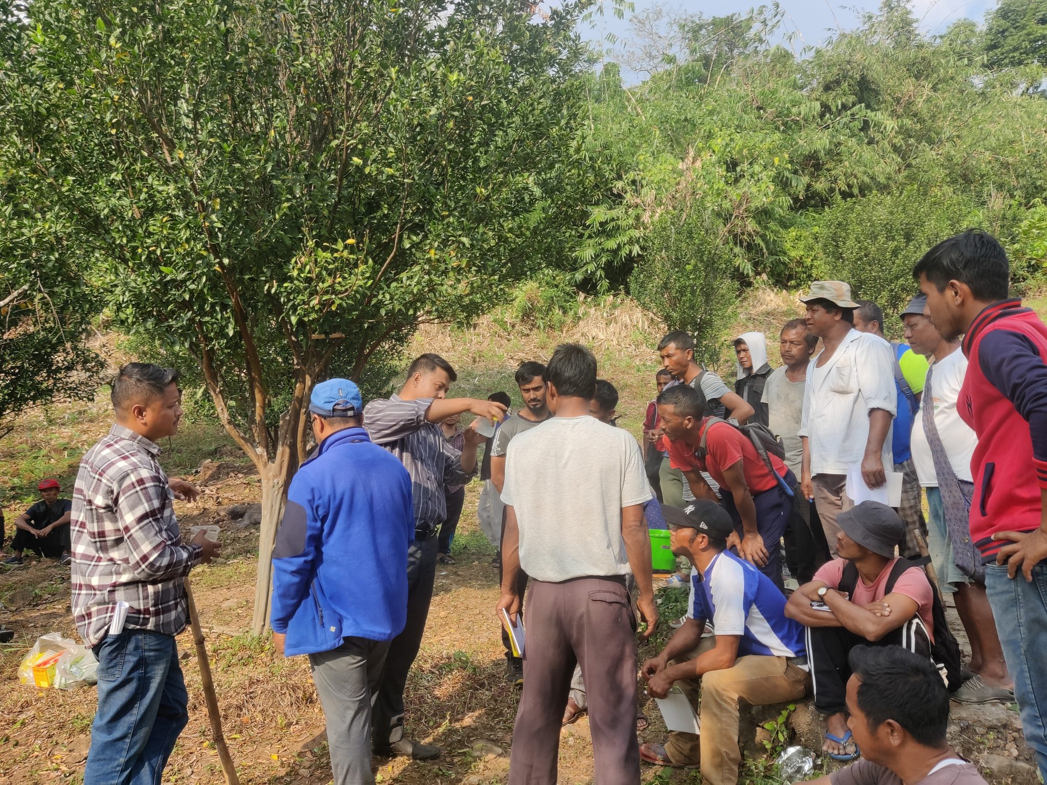 Training Rejuvenation of Orchard