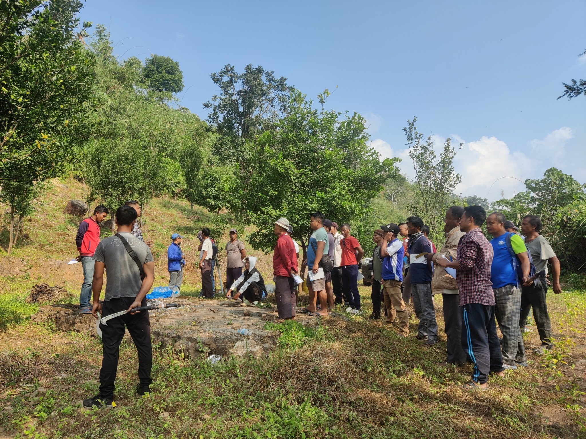 Training Rejuvenation of Orchard